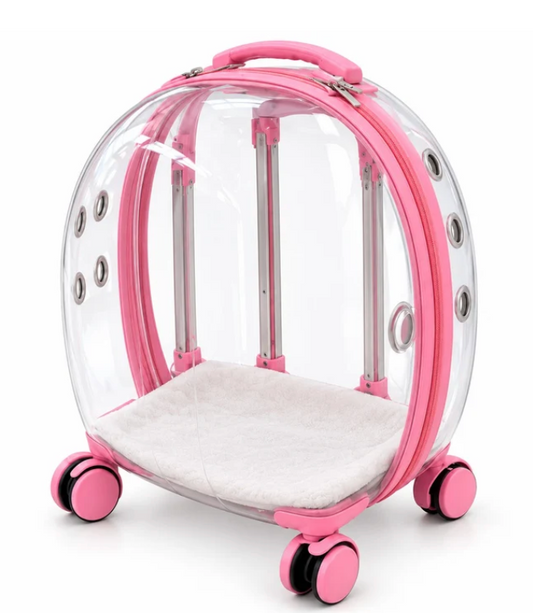 Rolling Bubble Dog Carrier